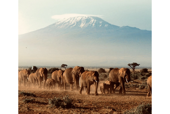 MilleMercisMariage - Liste de mariage