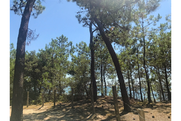 MilleMercisMariage - Liste de mariage