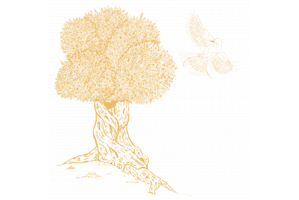 Bienvenue sur le site de notre mariage