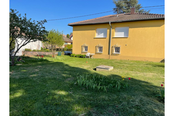 Photos