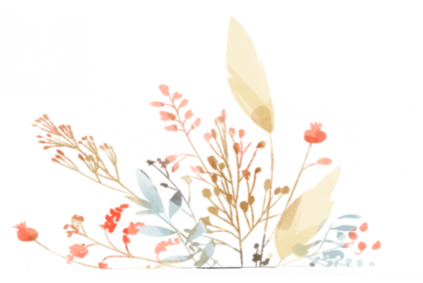 Bienvenue sur le site de notre mariage