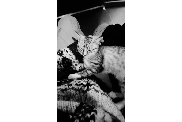 Photos
