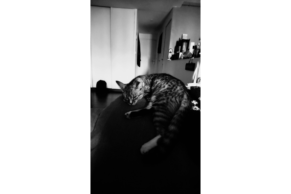 Photos