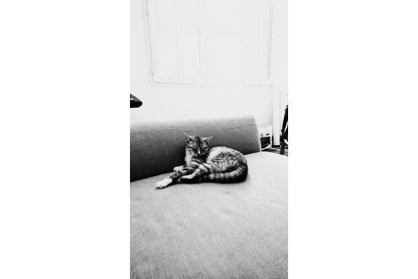 Photos