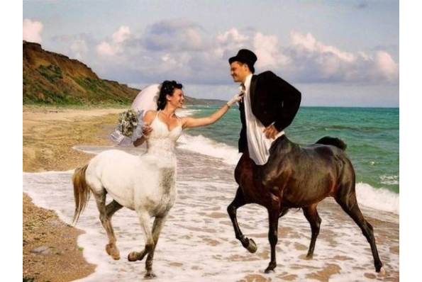 Bienvenue sur le site de notre mariage