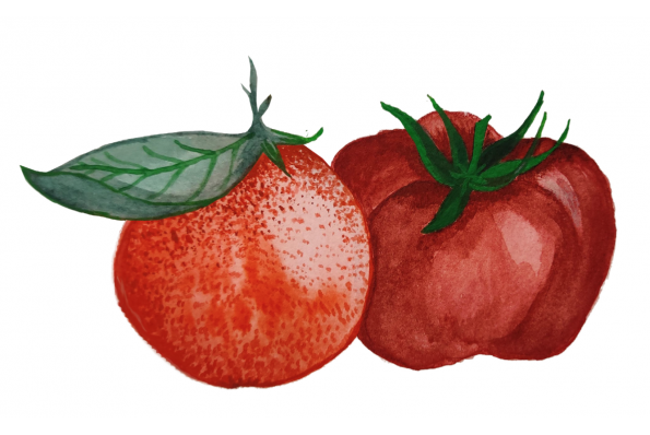 MilleMercisMariage - Liste de mariage