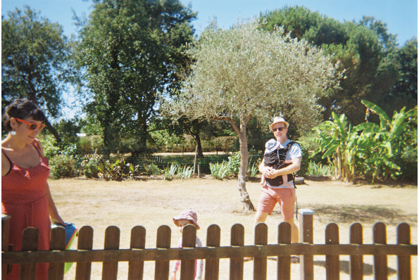 Photos