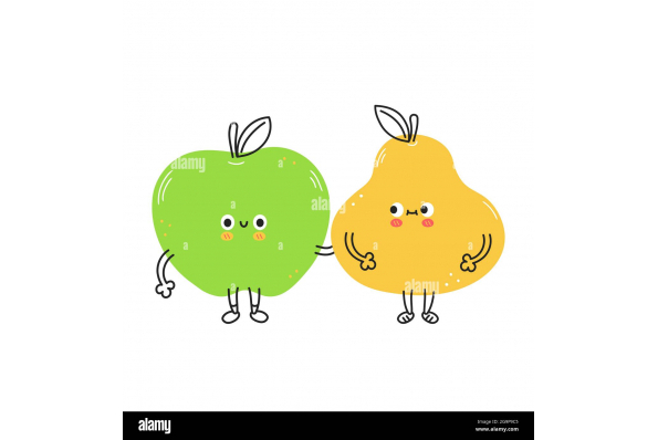 Bienvenue sur le site de notre mariage