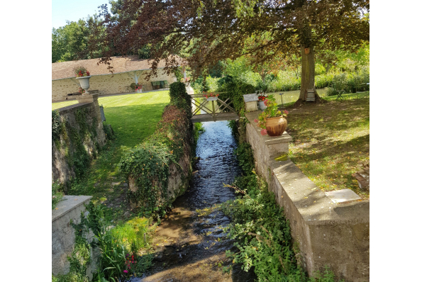 Photos