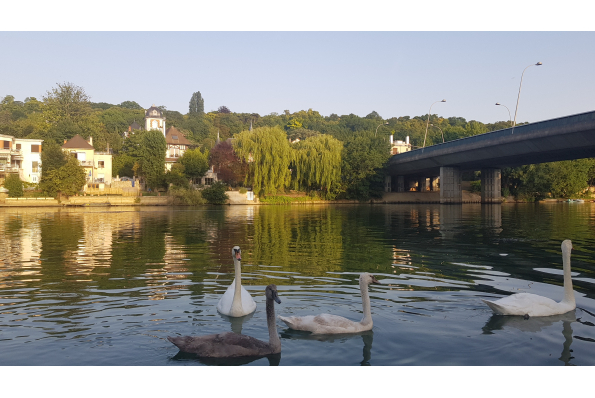 Bienvenue sur le site de notre mariage