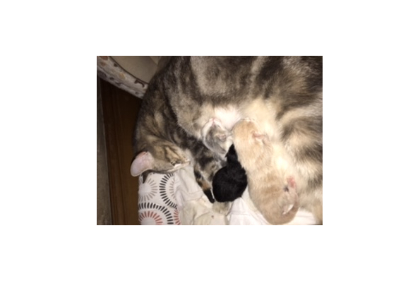 Photos