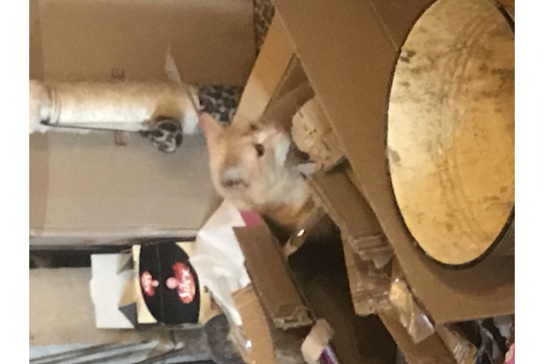 Photos