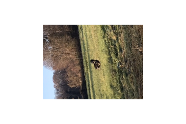 Photos