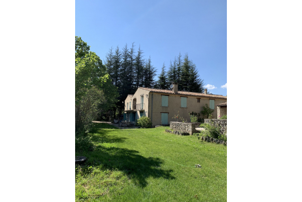 Photos