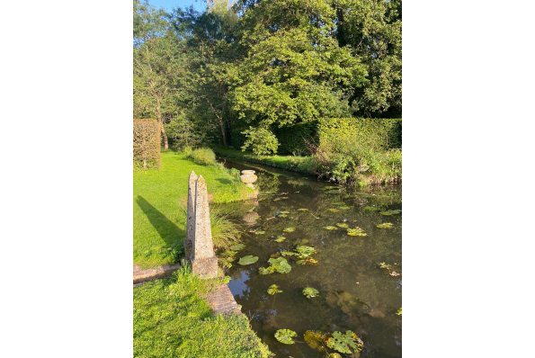 Photos