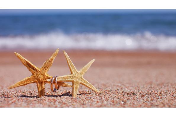 Bienvenue sur le site de notre mariage