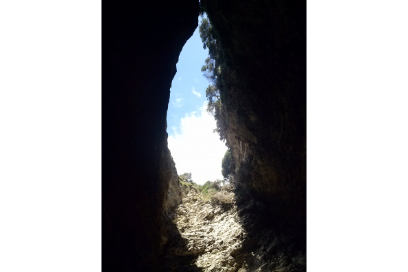 Photos