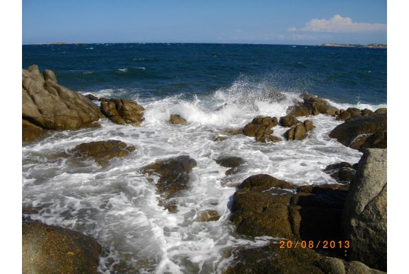 Photos