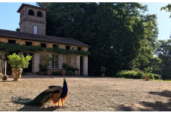 Bienvenue sur le site de notre mariage