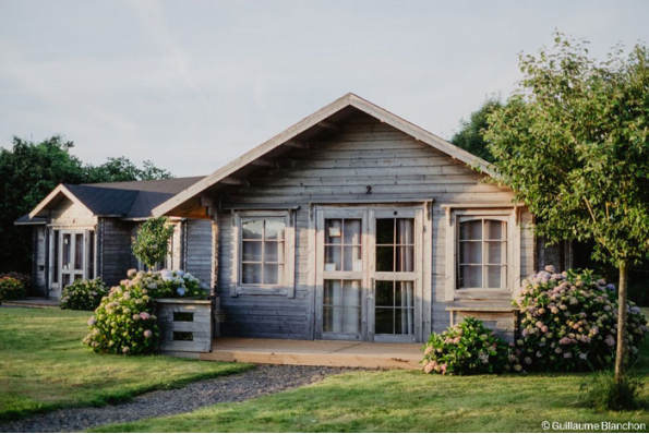Photos