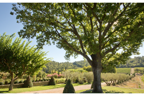 Bienvenue sur le site de notre mariage