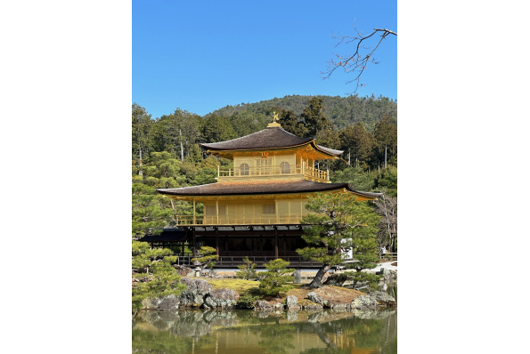 MilleMercisMariage - Liste de mariage