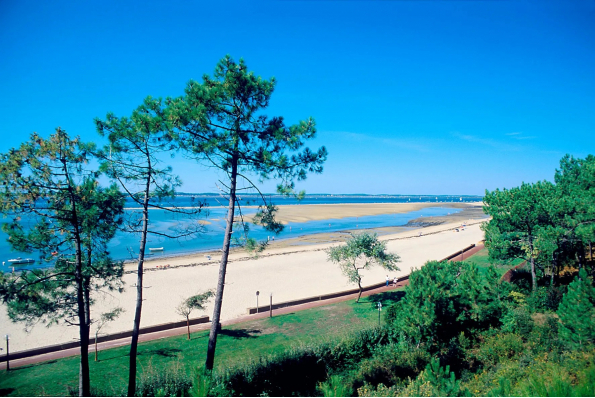 Bienvenue sur le site de notre mariage