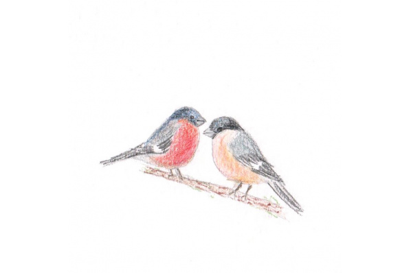 Bienvenue sur le site de notre mariage