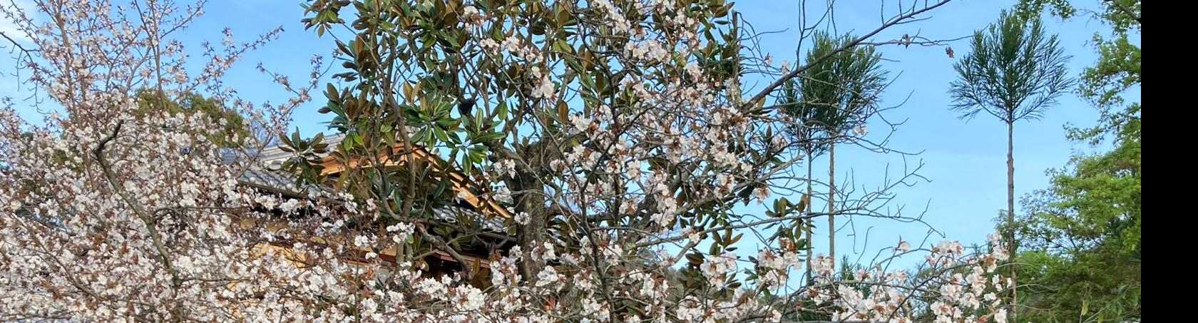 MilleMercisMariage - Liste de mariage