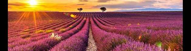 MilleMercisMariage - Liste de mariage