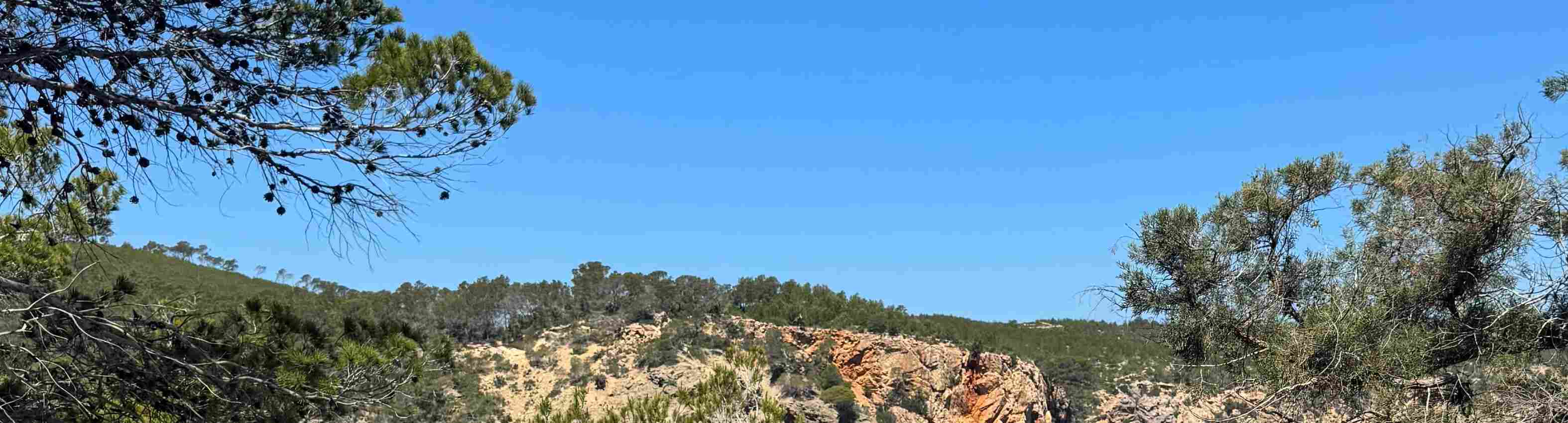 MilleMercisMariage - Liste de mariage