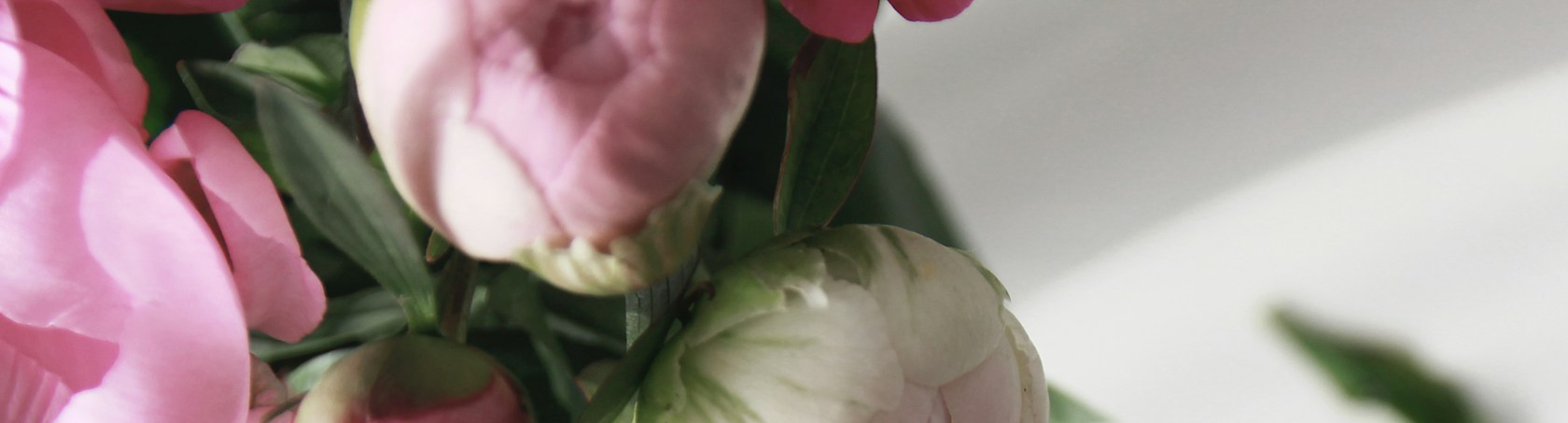 MilleMercisMariage - Liste de mariage