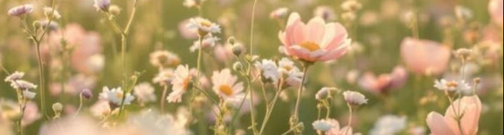 MilleMercisMariage - Liste de mariage