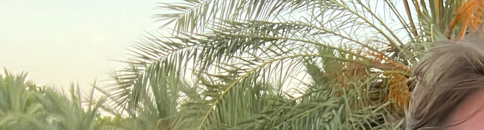 MilleMercisMariage - Liste de mariage