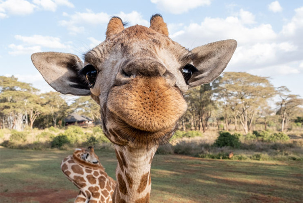 Bienvenue sur le site de notre mariage