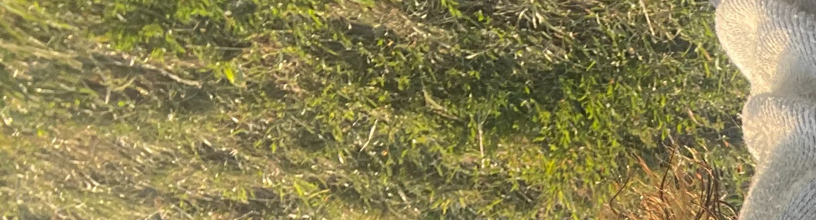 MilleMercisMariage - Liste de mariage