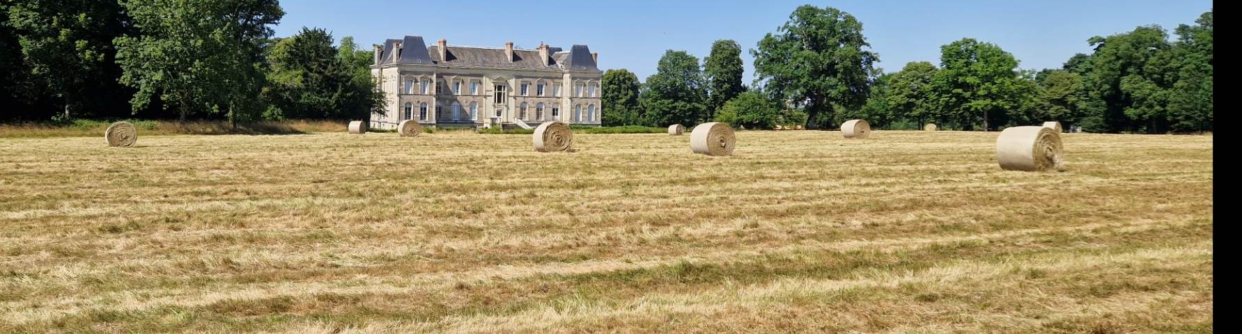 MilleMercisMariage - Liste de mariage