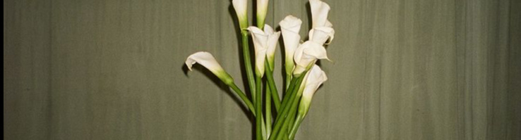 MilleMercisMariage - Liste de mariage