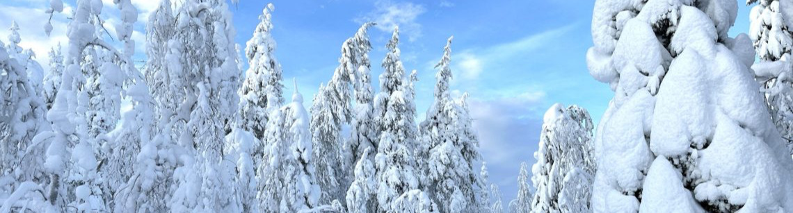 MilleMercisMariage - Liste de mariage