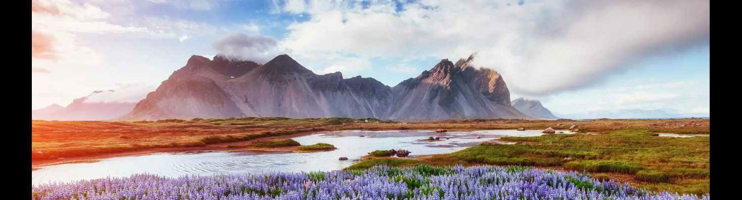 MilleMercisMariage - Liste de mariage