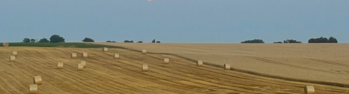 MilleMercisMariage - Liste de mariage