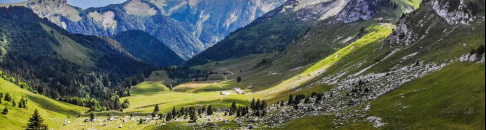 MilleMercisMariage - Liste de mariage