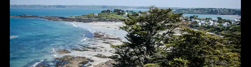 MilleMercisMariage - Liste de mariage