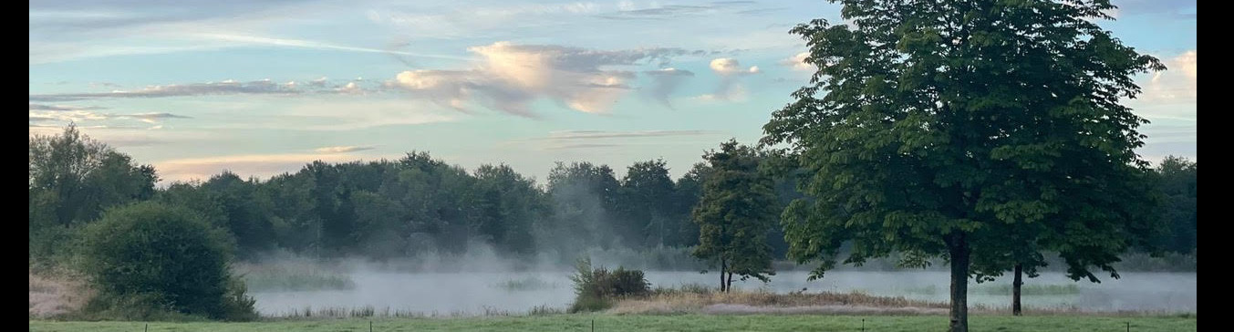 MilleMercisMariage - Liste de mariage