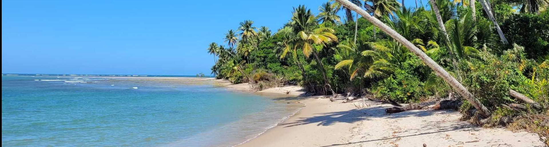 MilleMercisMariage - Liste de mariage