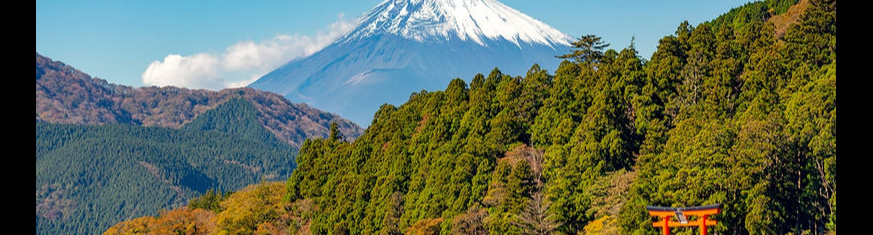 MilleMercisMariage - Liste de mariage