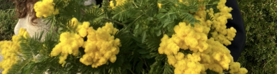 MilleMercisMariage - Liste de mariage