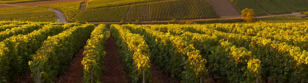 MilleMercisMariage - Liste de mariage