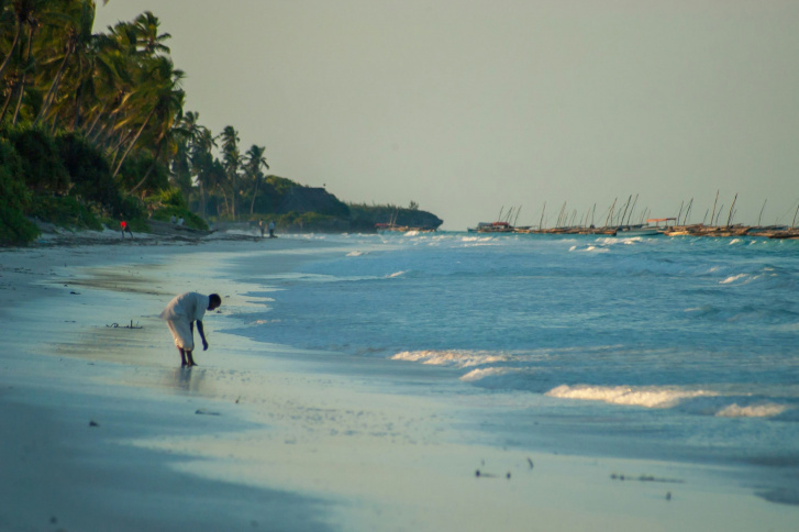 Tanzanie & Zanzibar – safari + plages au parfum d’épices